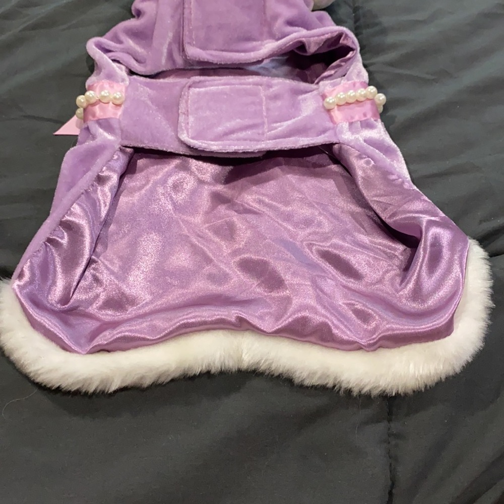 Disney Pets Collared Princess Outfit - Picture 5 of 8